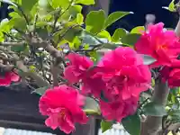 伊勢の国 四天王寺の自然