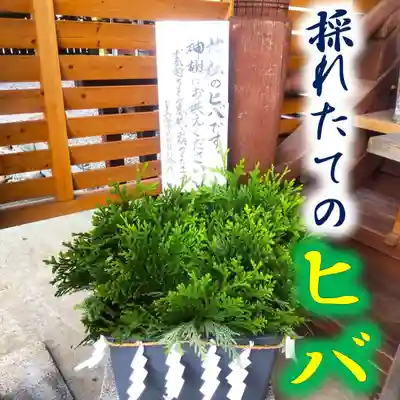 七重浜海津見神社(北海道)