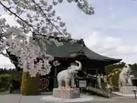 長福寿寺の本殿・本堂