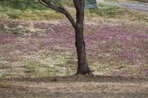 阿久津「田村神社」（郡山市阿久津町）旧社名：伊豆箱根三嶋三社の周辺