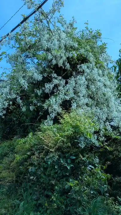西光禅寺(滋賀県)