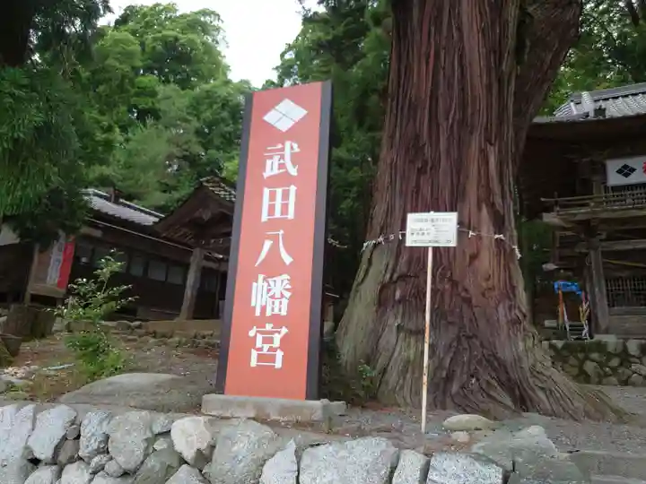 武田八幡宮(山梨県)