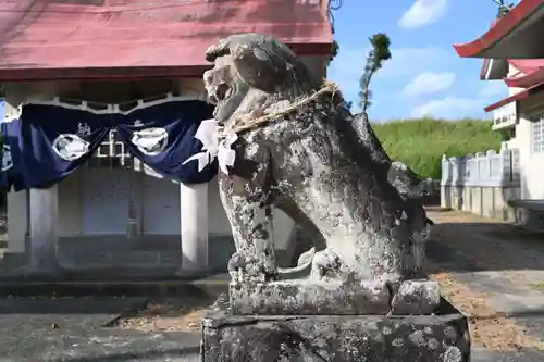 天佐自能和氣神社の狛犬