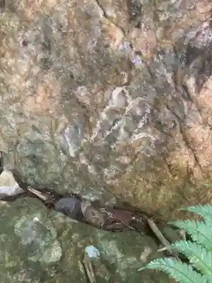 尾張冨士大宮浅間神社のその他建物