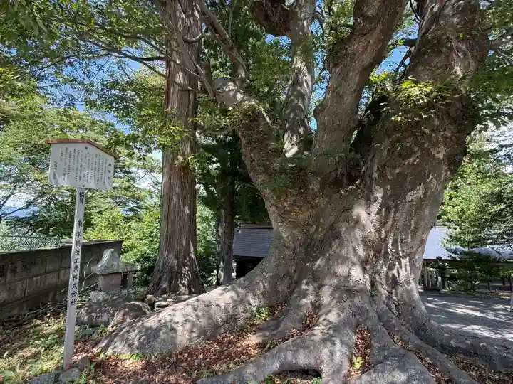 諏訪大社上社前宮(長野県)