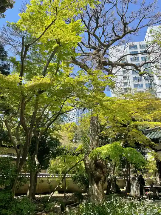 東福寺の{uncategorized: "未分類", other: "その他", undefined: "問題あり", building: "その他建物", grave: "お墓", sacred_gate: "鳥居", guardian: "狛犬", statue: "像", buddha: "仏像", history: "歴史", nature: "自然", garden: "庭園", animal: "動物", pagoda: "塔", temizu: "手水舎", mountain_gate: "山門・神門", sanctuary: "本殿・本堂", subordinate: "末社・摂社", art: "芸術", scenery: "景色", jizo: "地蔵", ema: "絵馬", goshuin: "御朱印", omikuji: "おみくじ", items: "授与品その他", amulet: "お守り", goshuincho: "御朱印帳", eats: "食事", festival: "お祭り", votive_dance: "神楽", shichigosan: "七五三参", wedding: "結婚式", experience: "体験その他", initially: "初詣", around: "周辺", anti_infection: "感染症対策"}