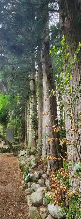 淡嶋神社(宮城県)