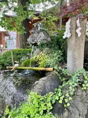 松戸神社(千葉県)