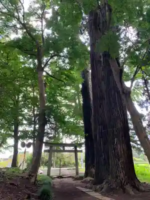八幡神社(千葉県)