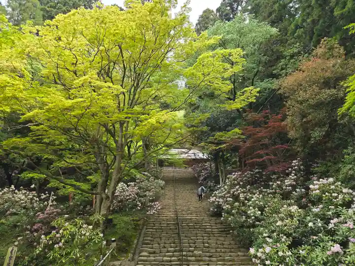 室生寺(奈良県)