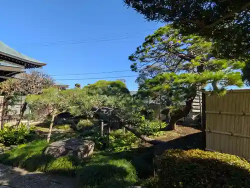 竺園寺(千葉県)