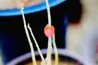 浄土寺(兵庫県)