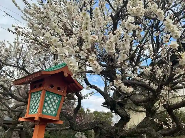 女化神社(茨城県)