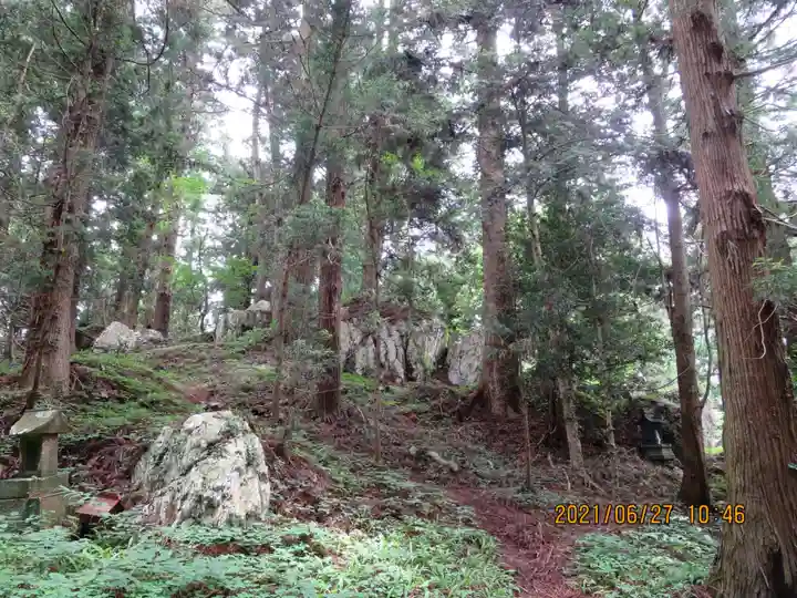 鹿島大神宮の自然