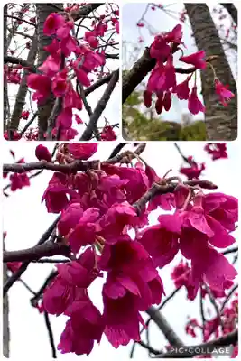 亀戸天神社(東京都)