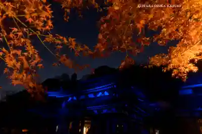 長谷寺(神奈川県)