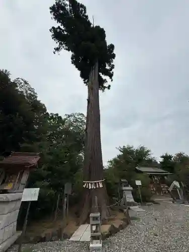 鶴峯八幡宮(千葉県)