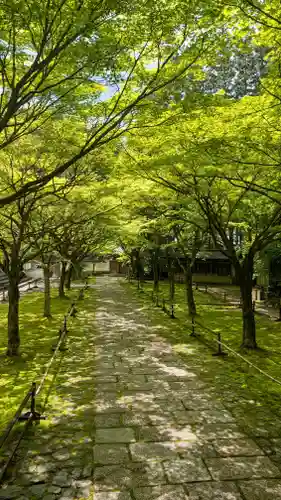 呑山観音寺(福岡県)
