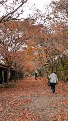 三千院門跡(京都府)