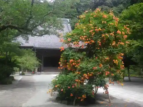 妙本寺の庭園