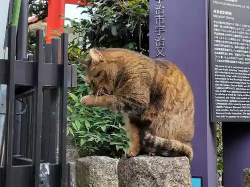 末多武利神社の動物