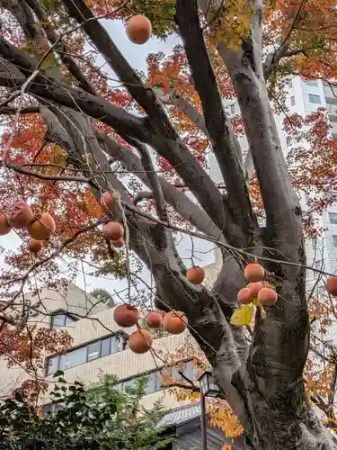 乃木神社(東京都)