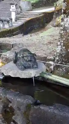 妙義神社の手水舎