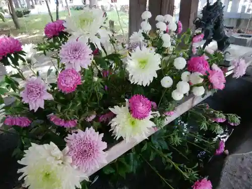 彌彦神社　(伊夜日子神社)の手水舎