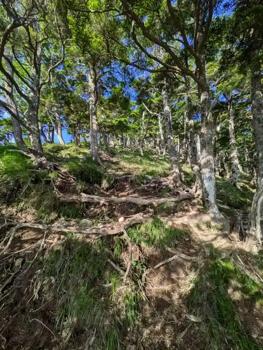 赤薙山神社(栃木県)
