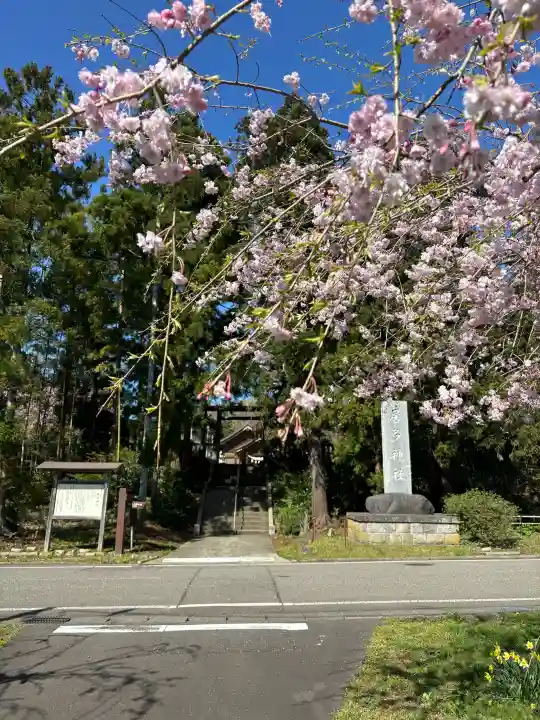 居多神社の{uncategorized: "未分類", other: "その他", undefined: "問題あり", building: "その他建物", grave: "お墓", sacred_gate: "鳥居", guardian: "狛犬", statue: "像", buddha: "仏像", history: "歴史", nature: "自然", garden: "庭園", animal: "動物", pagoda: "塔", temizu: "手水舎", mountain_gate: "山門・神門", sanctuary: "本殿・本堂", subordinate: "末社・摂社", art: "芸術", scenery: "景色", jizo: "地蔵", ema: "絵馬", goshuin: "御朱印", omikuji: "おみくじ", items: "授与品その他", amulet: "お守り", goshuincho: "御朱印帳", eats: "食事", festival: "お祭り", votive_dance: "神楽", shichigosan: "七五三参", wedding: "結婚式", experience: "体験その他", initially: "初詣", around: "周辺", anti_infection: "感染症対策"}