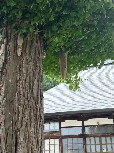 舘山寺(山形県)