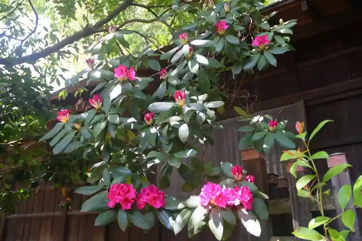 阿邪訶根神社の自然