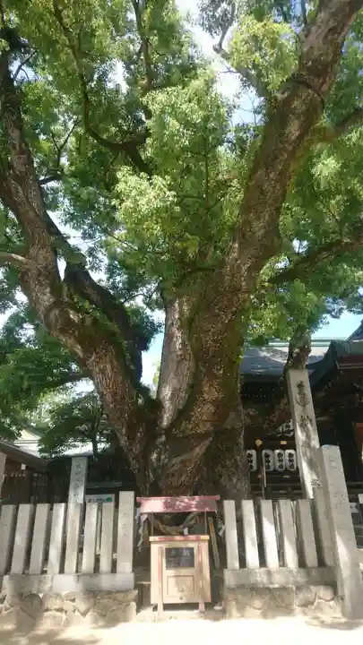 石切劔箭神社(大阪府)