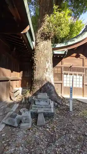 金山神社の自然