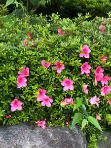 大生郷天満宮の自然(2020年05月28日(木) 16時15分47秒投稿)