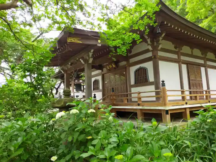 妙楽寺の本殿・本堂