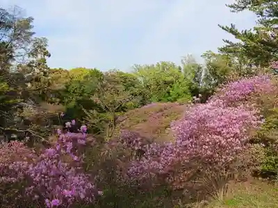 廣田神社(兵庫県)