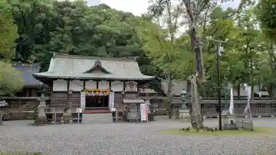 闘鶏神社の本殿・本堂