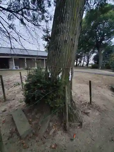 豊布都神社(埼玉県)
