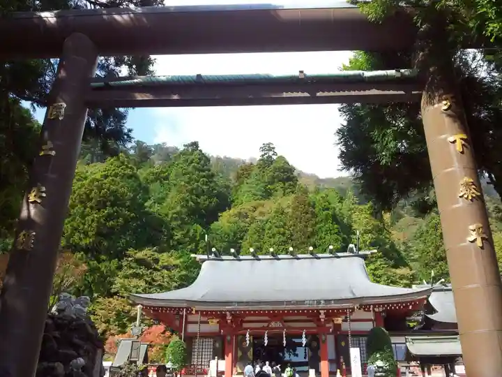 大山阿夫利神社の鳥居