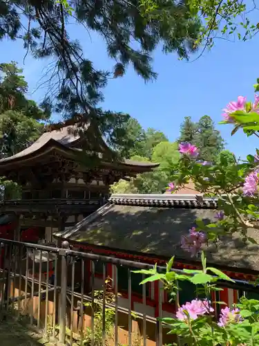 石上神宮の本殿