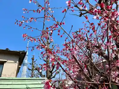法泉院(東京都)