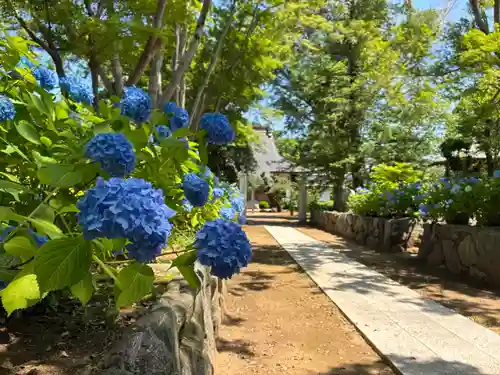 千手院(千葉県)