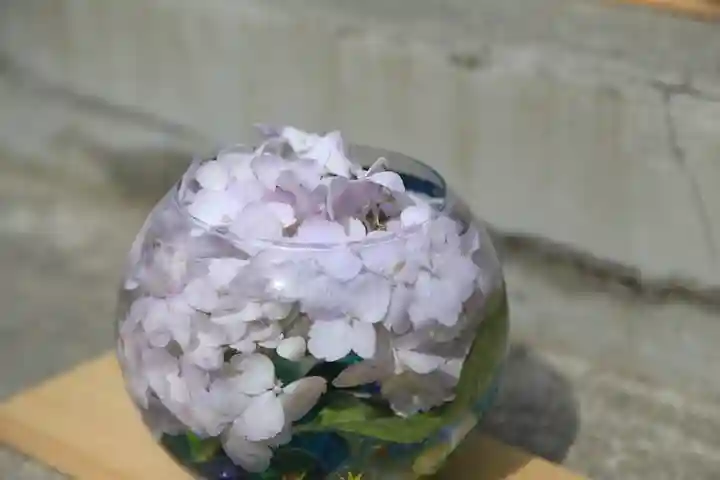 札幌諏訪神社の手水舎