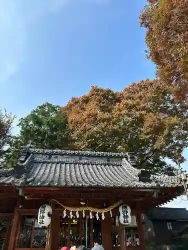 川越熊野神社の本殿