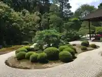 曼殊院門跡の庭園