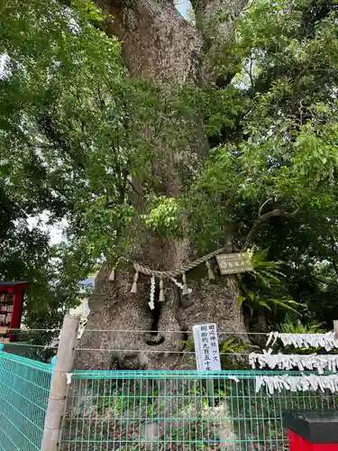 七狩長田貫神社の自然