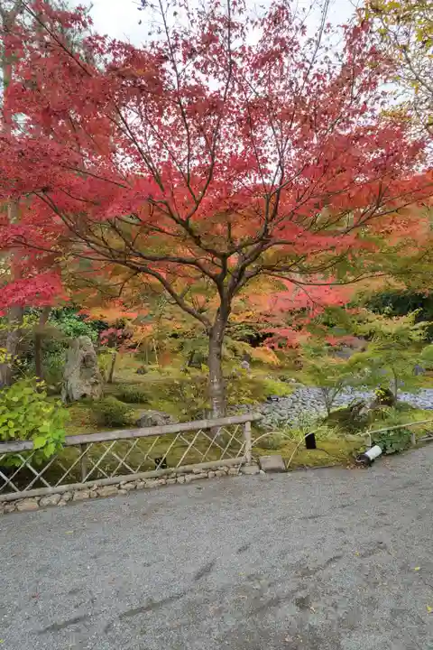 宝厳院(京都府)