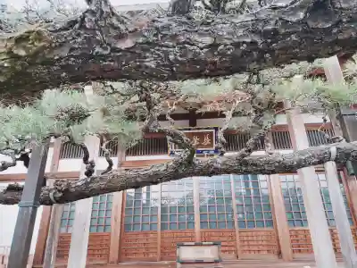 妙典寺の{uncategorized: "未分類", other: "その他", undefined: "問題あり", building: "その他建物", grave: "お墓", sacred_gate: "鳥居", guardian: "狛犬", statue: "像", buddha: "仏像", history: "歴史", nature: "自然", garden: "庭園", animal: "動物", pagoda: "塔", temizu: "手水舎", mountain_gate: "山門・神門", sanctuary: "本殿・本堂", subordinate: "末社・摂社", art: "芸術", scenery: "景色", jizo: "地蔵", ema: "絵馬", goshuin: "御朱印", omikuji: "おみくじ", items: "授与品その他", amulet: "お守り", goshuincho: "御朱印帳", eats: "食事", festival: "お祭り", votive_dance: "神楽", shichigosan: "七五三参", wedding: "結婚式", experience: "体験その他", initially: "初詣", around: "周辺", anti_infection: "感染症対策"}