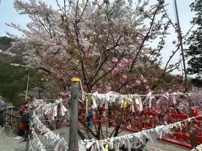 金櫻神社(山梨県)